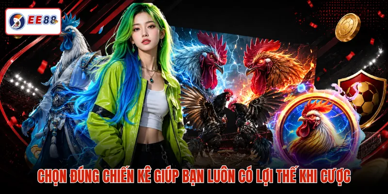Chọn đúng chiến kê giúp bạn luôn có lợi thế khi cược