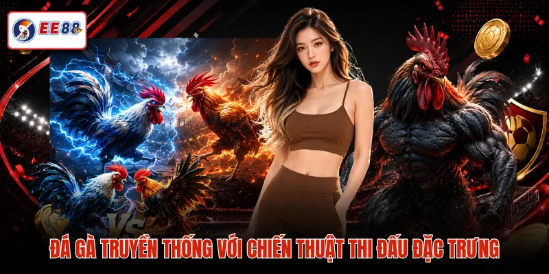 Đá gà truyền thống với chiến thuật thi đấu đặc trưng