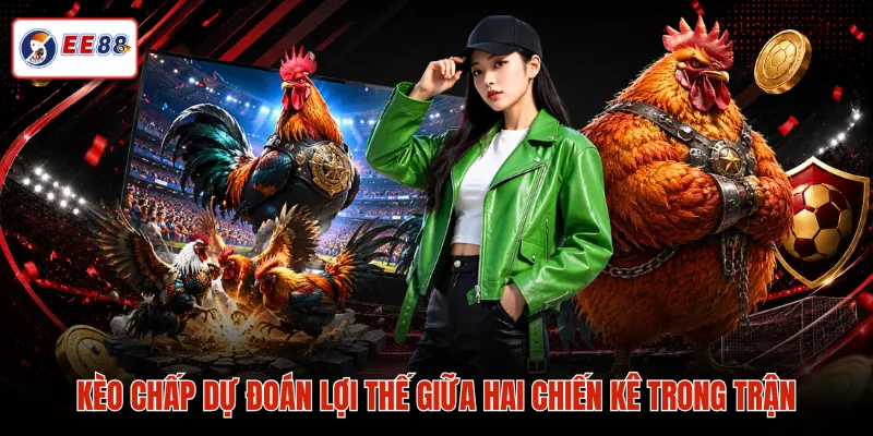 Kèo chấp dự đoán lợi thế giữa hai chiến kê trong trận