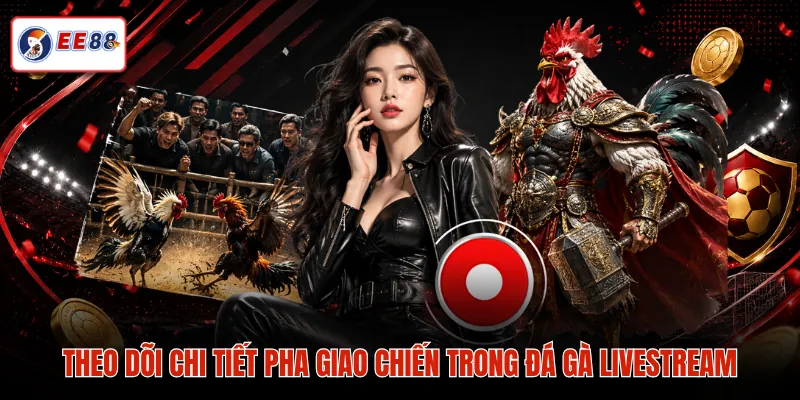 Theo dõi chi tiết pha giao chiến trong đá gà livestream